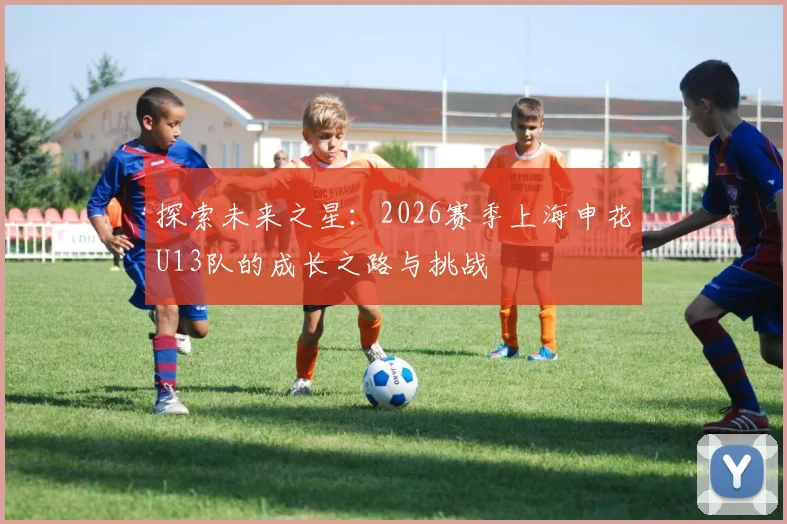 探索未来之星：2026赛季上海申花U13队的成长之路与挑战